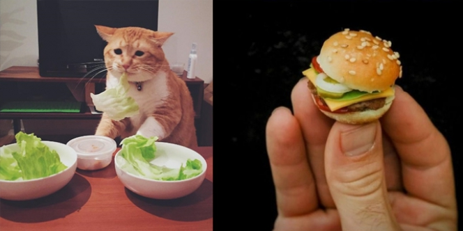 Sebetulnya Kasihan, Tapi Foto Cara Orang Diet Ini Bikin Ngakak