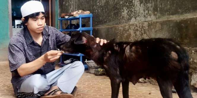 Ingat Santri yang Obati Anjing Sakit? Kini Nasibnya...