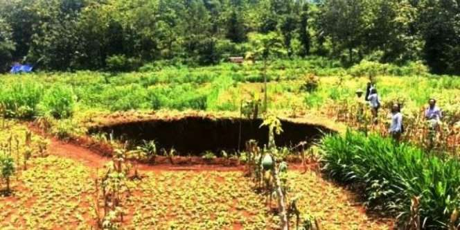 Geger Lubang Misterius di Kebun Gunungkidul, Seperti Hidup!