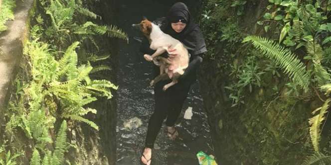 Viral, Perempuan Berhijab Selamatkan Anjing dalam Selokan