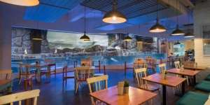 Ada di Jakarta! Makan Sambil Ditemani Pinguin Lucu