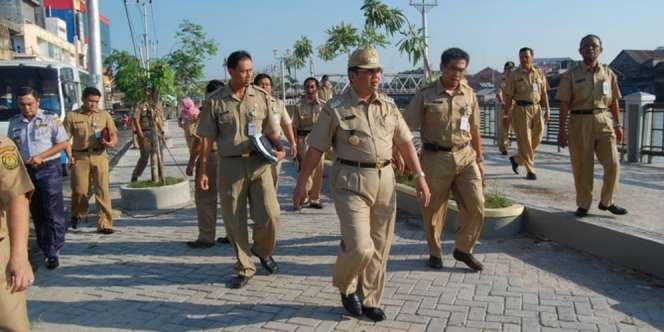 Siap-siap, Lowongan CPNS Dibuka Mei