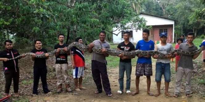 Dengar Suara Keras Jatuh di Sumur Tua, Saat Dilihat...