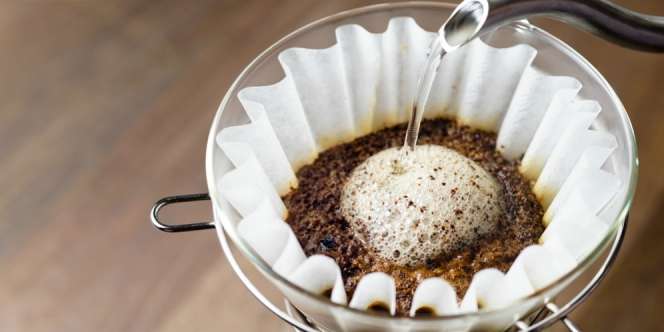 Kertas Filter Kopi Bisa Bikin Tanaman Jadi Lebih Segar
