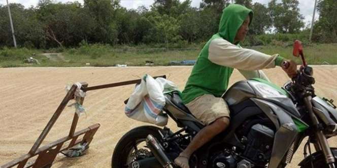 Brum... Brum... Motor Rp329 Juta Digeber untuk Keringkan Padi