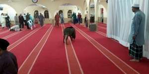 Geger Babi Hutan Ngamuk, Hampir Seluruh Masjid Disucikan
