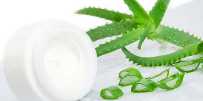 Aloe Vera Gel, Skincare Korea yang Digandrungi Cewek Indonesia