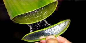 Alasan Hijabers Pilih Skincare Aloe Vera