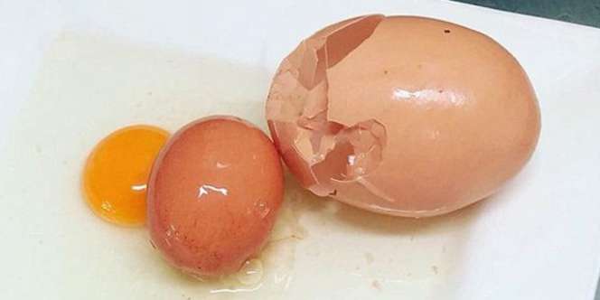 Langka Ada Telur Dalam Telur, Ilmuwan Sampai Keheranan