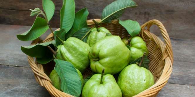 6 Manfaat Mengejutkan Daun Jambu untuk Kulit dan Rambut