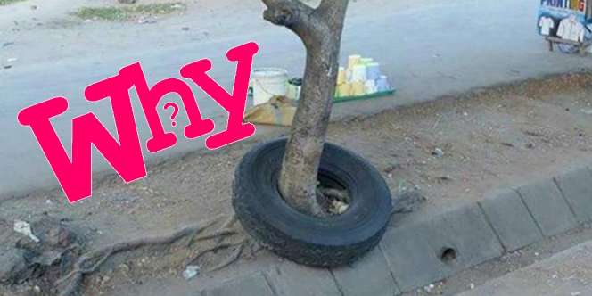 Gak Normal! 17 Foto Ini Bukti Hidup Itu Penuh Kejutan