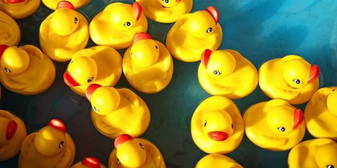 Level Bakteri Jahat di Mainan Karet Ternyata Sangat Tinggi