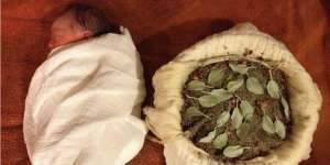 Metode Lotus Birth Ternyata Masih Menuai Kontroversi