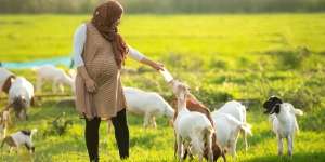 Berjimak Saat Sedang Hamil, Terlarangkah?