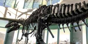 Mau Kasih Nama Dinosaurus Baru, Bayar Rp31 M!