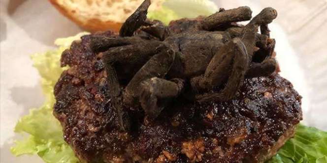 Ditantang Makan Burger Tarantula, Eh..Hadiahnya Cuma T-Shirt