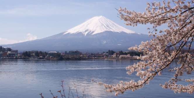 Siap-siap, 2019 Keluar Jepang Wajib Bayar 1.000 Yen