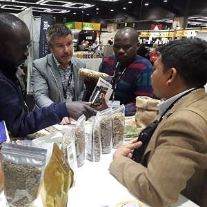 Kopi Gayo Aceh Go Internasional di Amerika Serikat