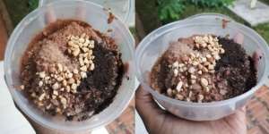 Viral Jajanan Es Kepal Milo, Begini Cara Membuatnya