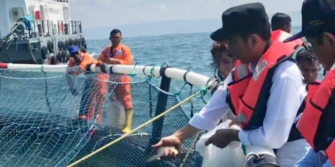 Gurauan Jokowi untuk Menteri Susi: `Kepengen Jadi Wapres`