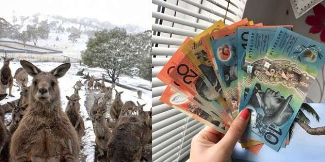16 Hal Gokil yang Cuma Ada di Australia