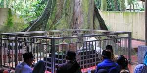 Wisata Ziarah Keramat Solear Makam Syekh Mas Masaad