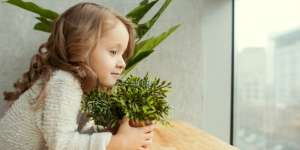 Warga Jakarta Sumbang 40 Juta Ton Emisi Tiap Tahun