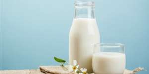 Sejarah Asal Mula Orang Indonesia Suka Minum Susu