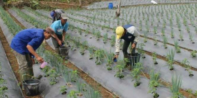 GandengTangan, Bantu Pemilik Usaha yang Butuh Dana Pinjaman