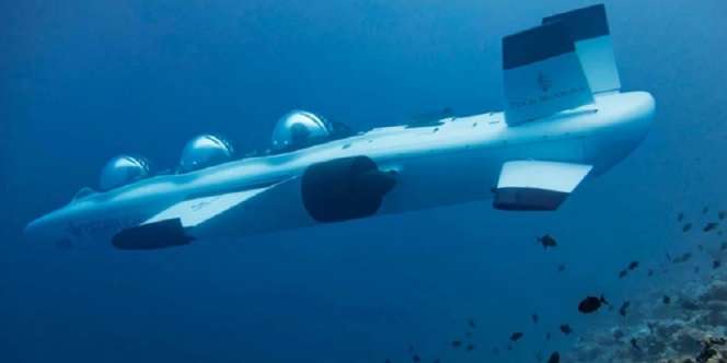 Jelajah Laut Maldives dengan Kapal Selam Pribadi