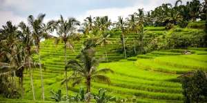 13 Hal yang Dirindukan Turis Asing dari Indonesia