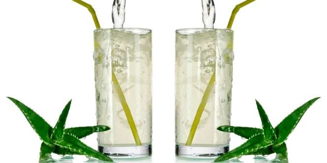 Es Aloe Vera yang Menyegarkan untuk Buka Puasa
