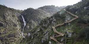 Jalan Ekstrem Menuju Puncak Bukit Pavia