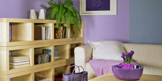 Violet, Warna Dinding yang Hangat untuk Hari Raya