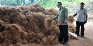Cuma Olah Kelapa Penghasilan Bulanan Rp1 Miliar