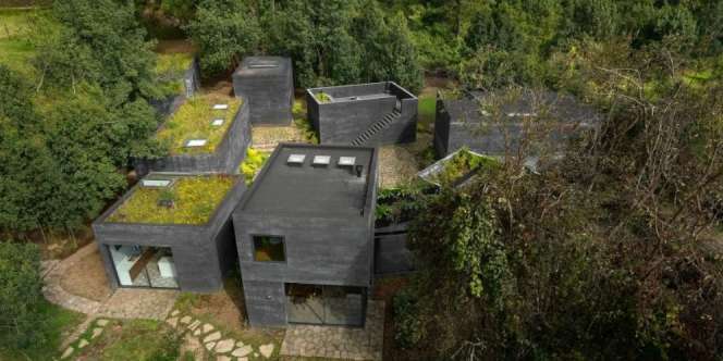 Intip Keunikan Desain Rumah 'Balok Hitam' di Tengah Hutan