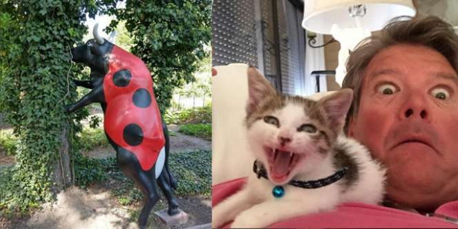 9 Hal Aneh dan Mengejutkan yang Terlihat di Sekitar Kita