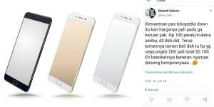 Beli Smartphone di Flash Sale Rp 100, Pas Diterima Ternyata...