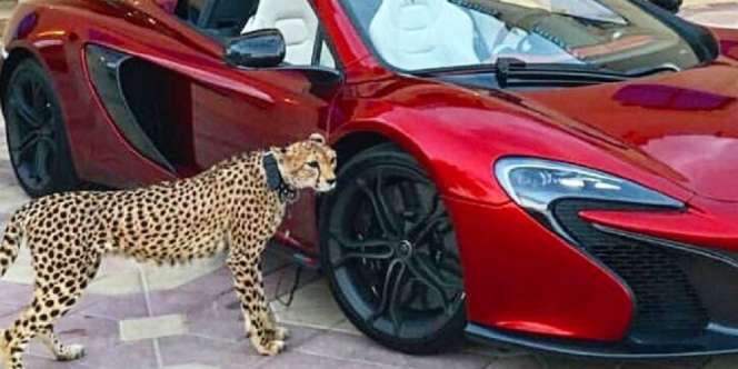 5 Fakta Mencengangkan Dubai yang Bikin Geleng-geleng