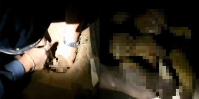 Dikubur 8 Jam, Bayi Ini Masih Hidup