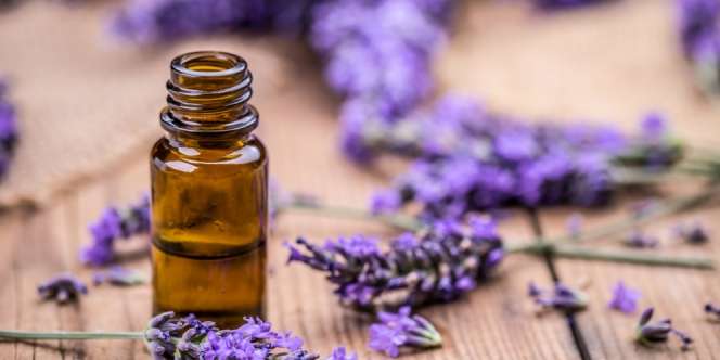 Jarang Diketahui, 5 Manfaat Minyak Lavender