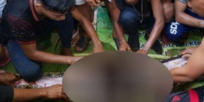Sempat Hilang, Wanita Ditemukan Tewas Dimakan Ular