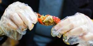 Cuma Bekerja Kupas Lobster, Digaji Rp21 Juta/Bulan