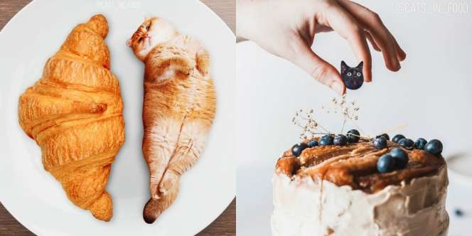 Ada Kucing dalam Makanan Lezat, Masih Mau Disantap?