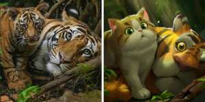 Foto Hewan Buas dan Liar Ini Jadi Menggemaskan