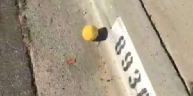 Ditonton 8 Juta Orang, Lemon Menggelinding Ini Bikin Penasaran