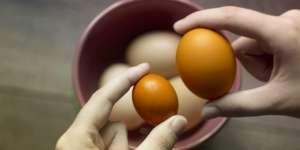 Harga Telur di Indonesia Mahal Gara-gara Piala Dunia