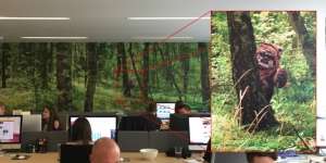 13 Foto Ini Menyimpan Hal Unik, Perhatikan Baik-baik...