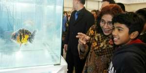 Pesan Penting Menteri Susi untuk Anak-anak Indonesia