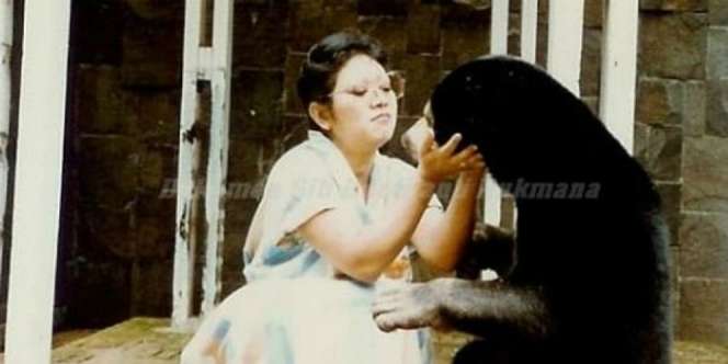 Ultah, Mbak Tutut Pernah Dapat Kado Beruang Madu dari Suami